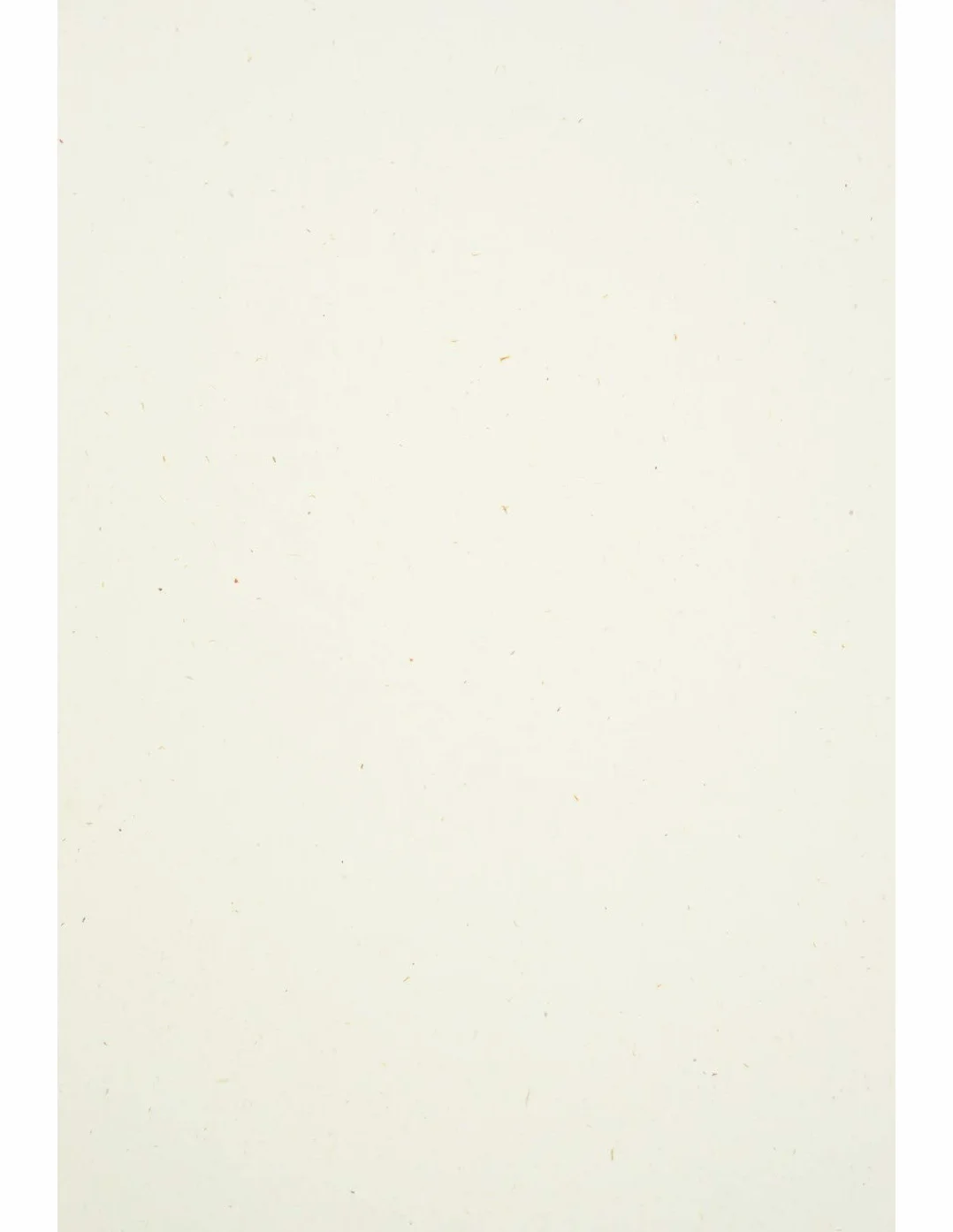 Netuno 50x carta ecologica avorio formato A4 21 x 29,7 cm 130g Flora Anice carta riciclata per stampanti carta colorata naturale per edizioni di pregio cataloghi calendari passe-partout volantini