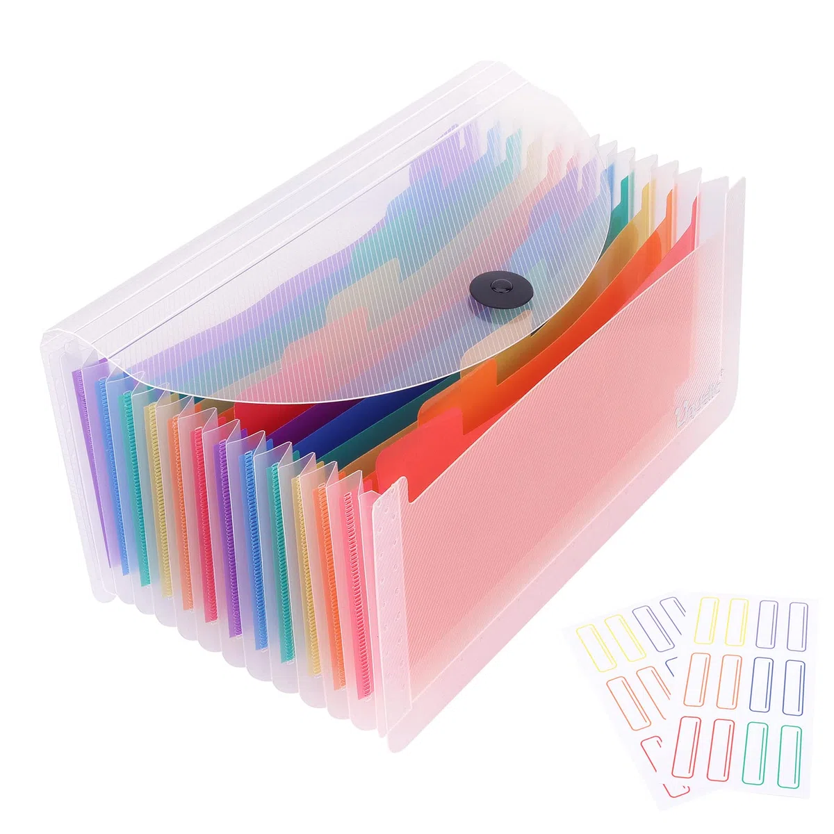 Uquelic Raccoglitore a 13 Scomparti - Organizzatore a Soffietti per Documenti, Ricevute, Fatture, Assegni - in Plastica