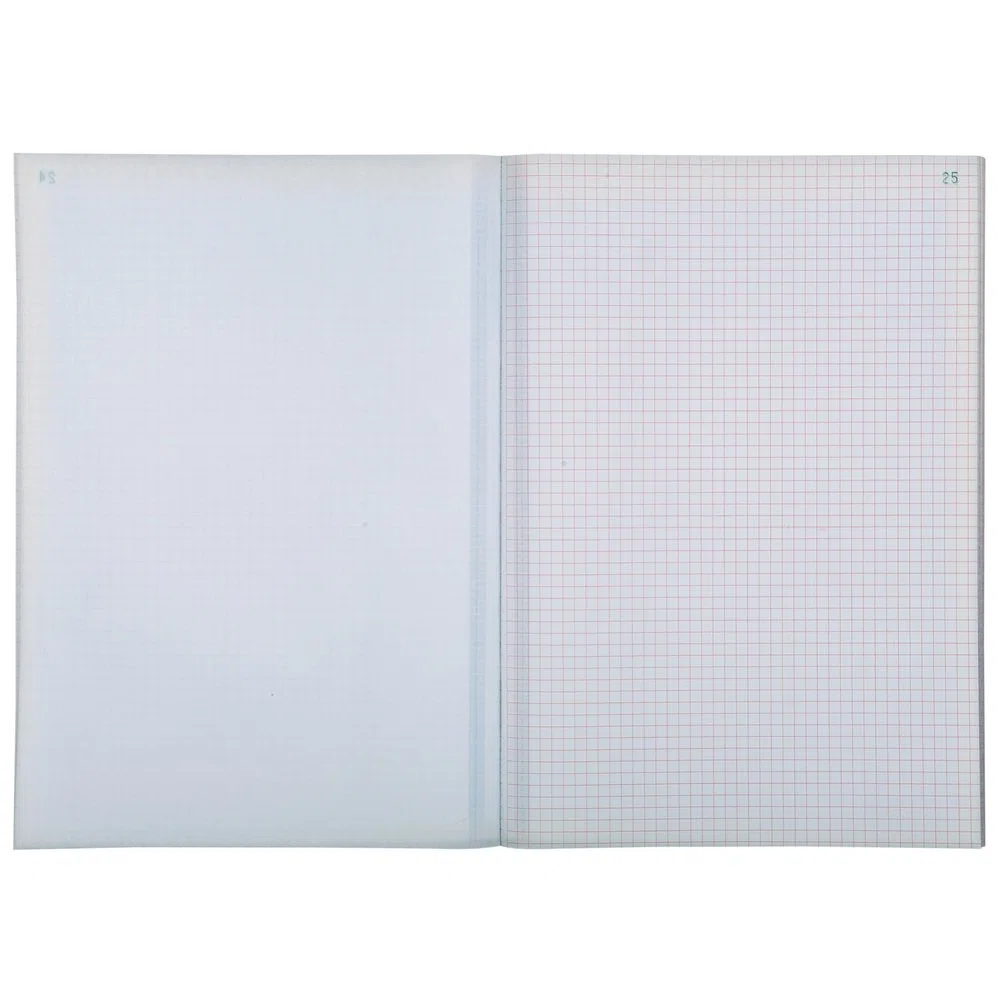 EXACOMPTA 3300E Manifold Quadrille 5x5 29,7x21cm 50 Feuillets Dupli Autocopiants