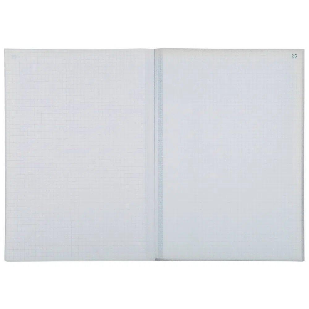 EXACOMPTA 3300E Manifold Quadrille 5x5 29,7x21cm 50 Feuillets Dupli Autocopiants