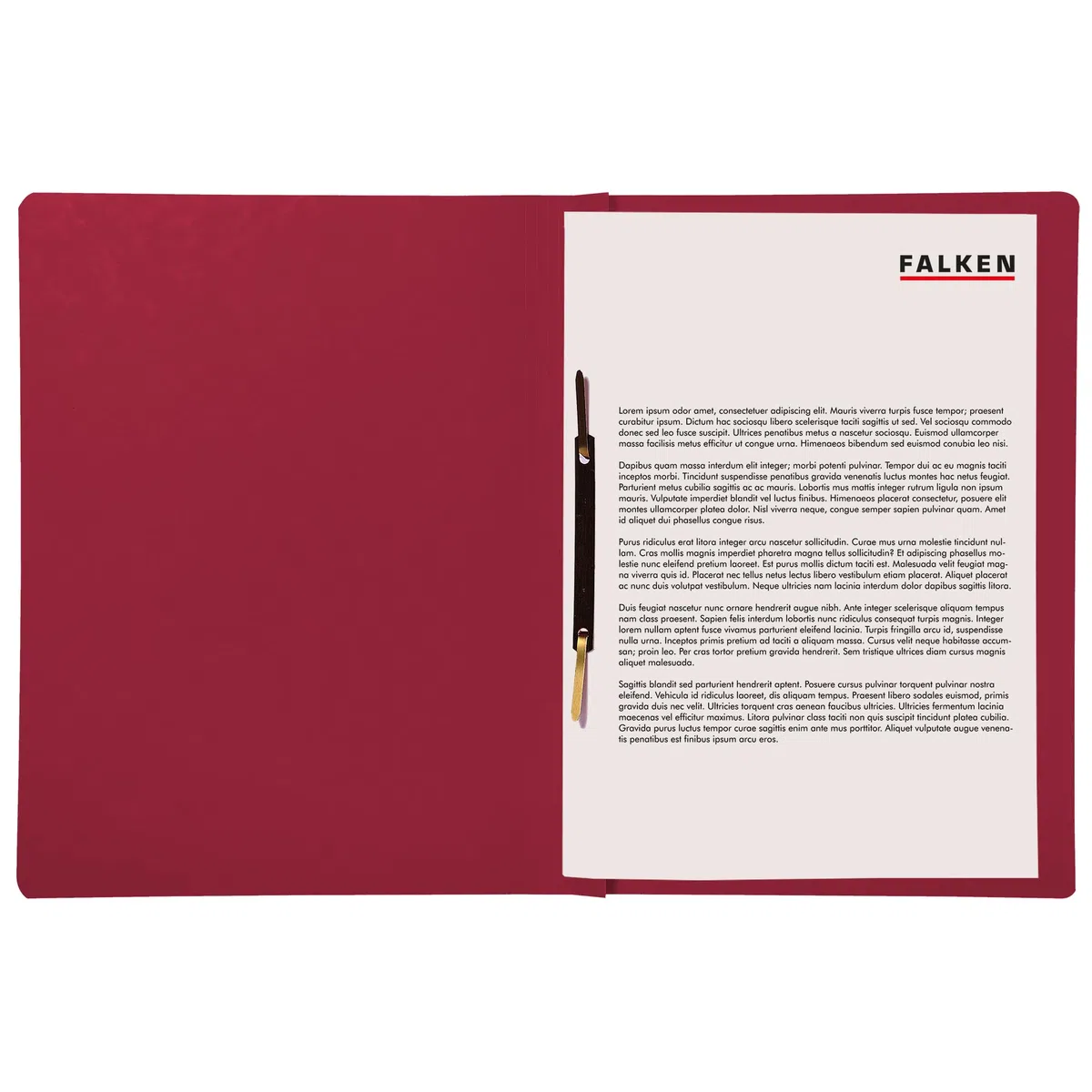 Falken Cartelline Recycling Intensiv per DIN A4, Confezione da pezzi bordeaux